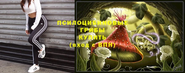 твердый Алексеевка