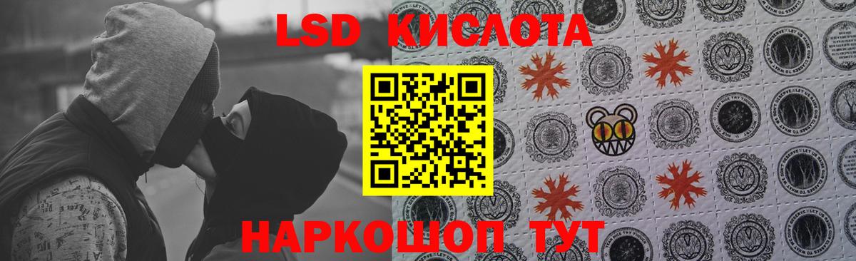 Псилоцибиновые грибы Вологда