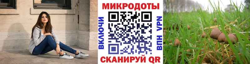 как найти   Вологда  Псилоцибиновые грибы MAGIC MUSHROOMS 