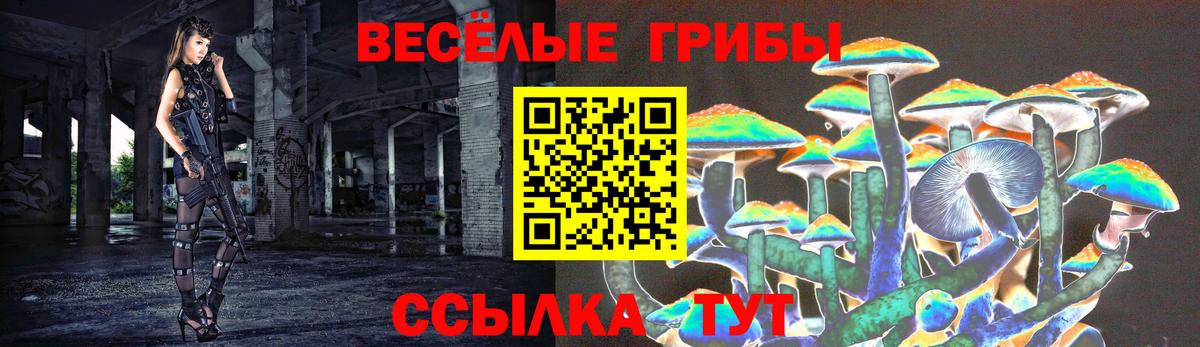 Псилоцибиновые грибы MAGIC MUSHROOMS Вологда