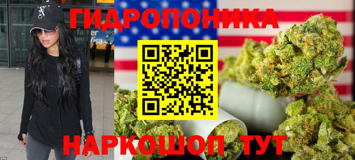 Бошки марихуана семена  Вход с VPN  Вологда  МАРИХУАНА White Widow  Конопля THC 21%  Марихуана конопля 